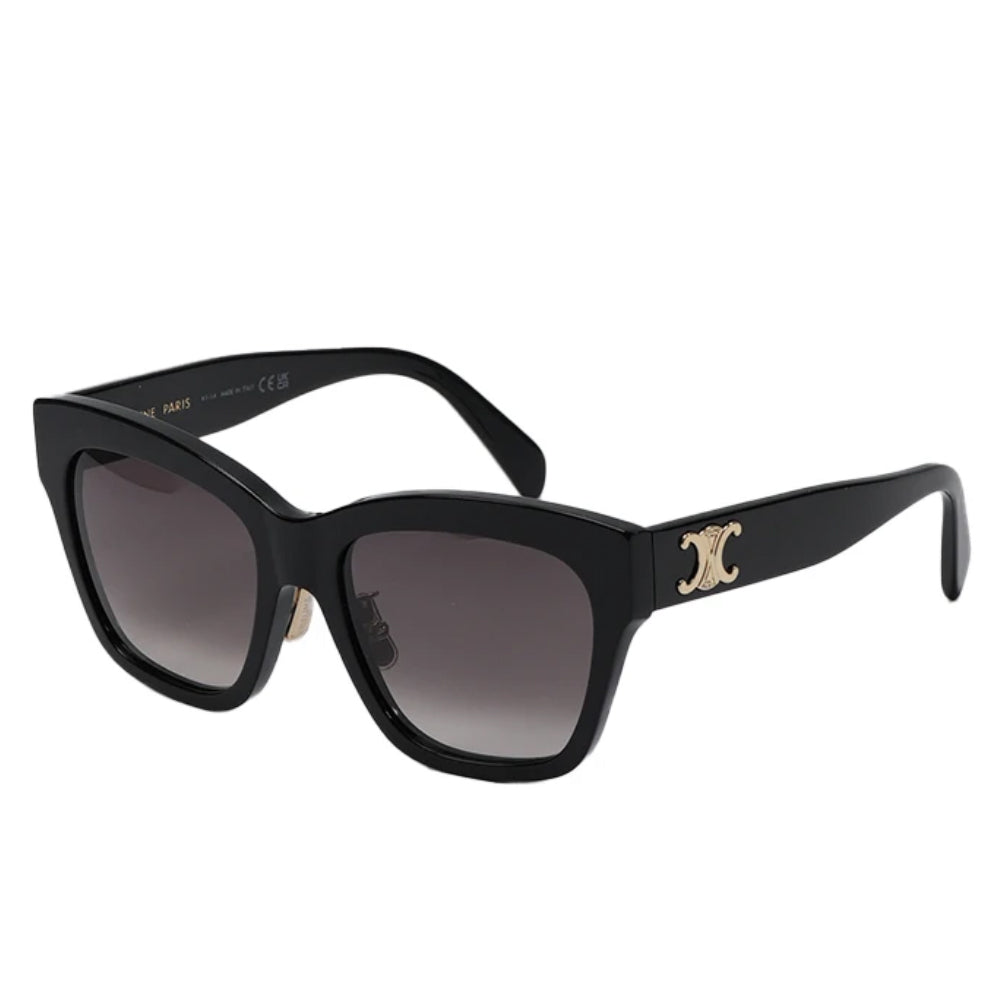 CELINE Acetate Irregular Shape Sunglasses Unisex Black