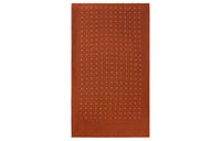 Loro Piana Silk Scarves Men's Brown