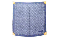 LOUIS VUITTON Silk Scarves Women's Blue