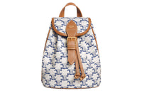 CELINE Canvas Cow Leather Patchwork Backpack Women's Blue/White