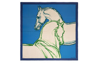 HERMES Knit Scarves Women's Blue