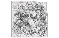 DIOR Silk Scarves Women's White/Black