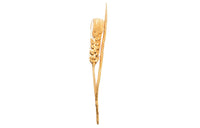 SAINT LAURENT 1990s Wheat-leaf Pin