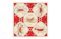 HERMES Silk Scarves Unisex Red