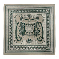 HERMES Cashmere Shawls Unisex Dove Gray/Green/Natural Color