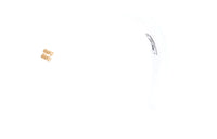 MIU MIU Headbands Women's White