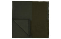 Loro Piana Silk Scarves Unisex Green