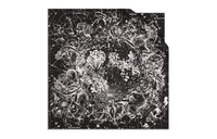 DIOR Silk Scarves Women's Black