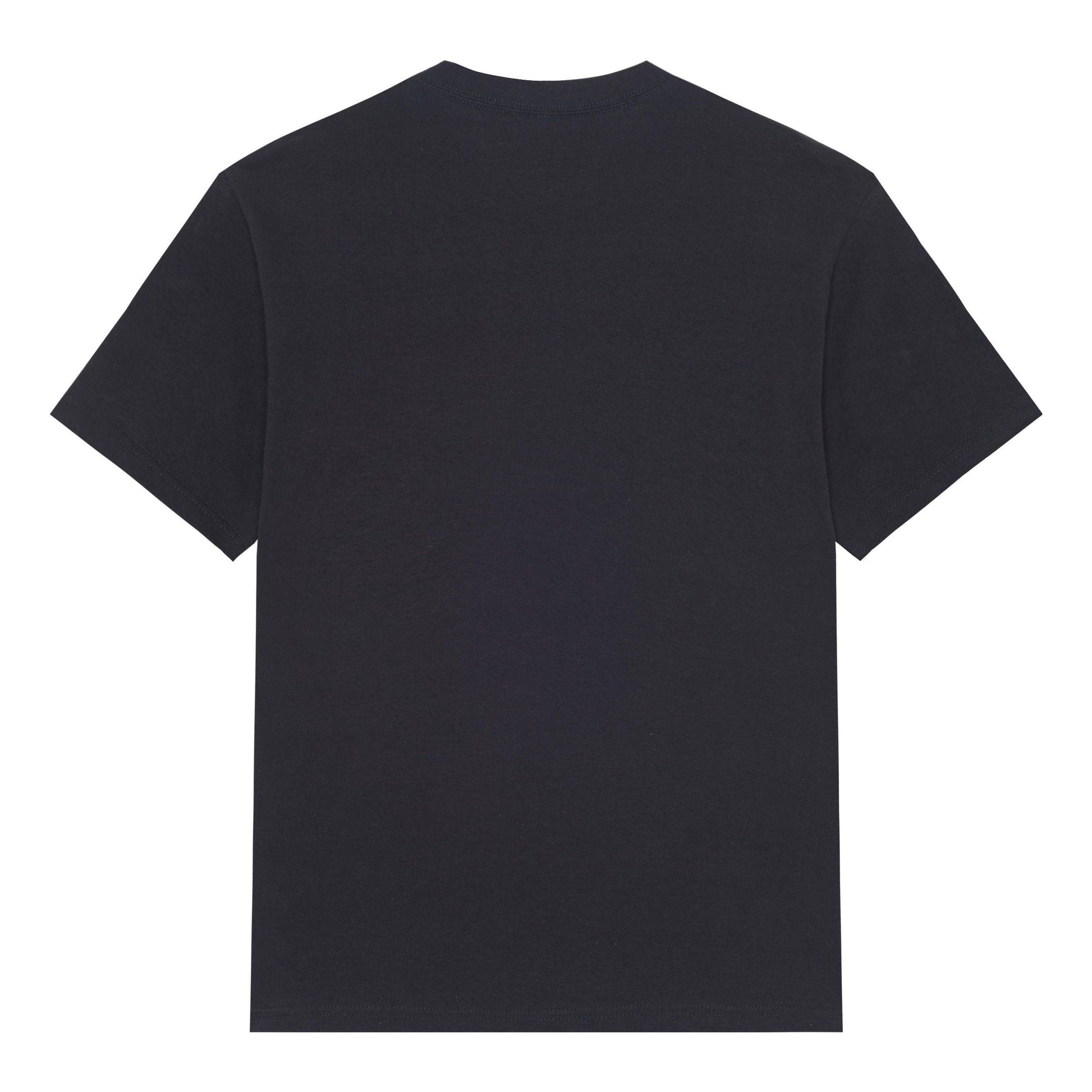 Mitchell & Ness x NBA Houston Rockets T-shirt 'Black' BMTRSH22101-HROBLCK