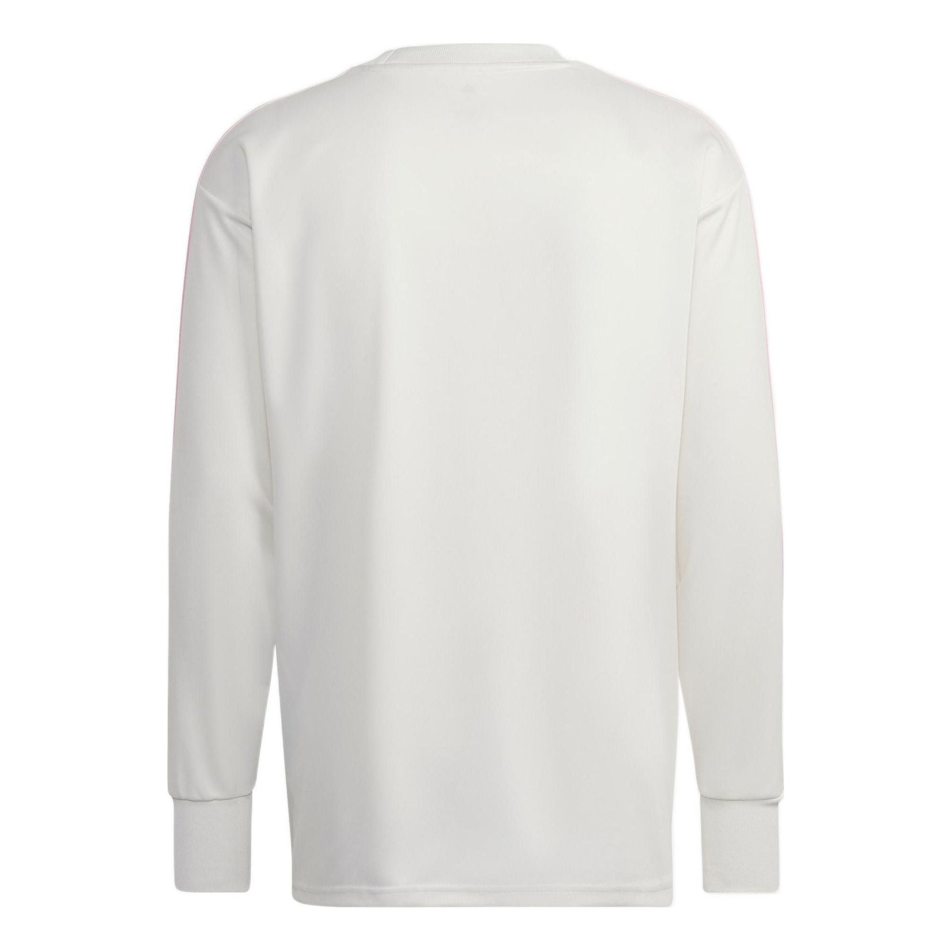 adidas Belgium Icon Goalkeeper Jersey Asia Sizing 'White' HE1434
