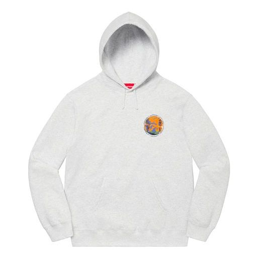 Supreme Embryo Hooded Sweatshirt 'Grey Orange' SUP-SS20-698