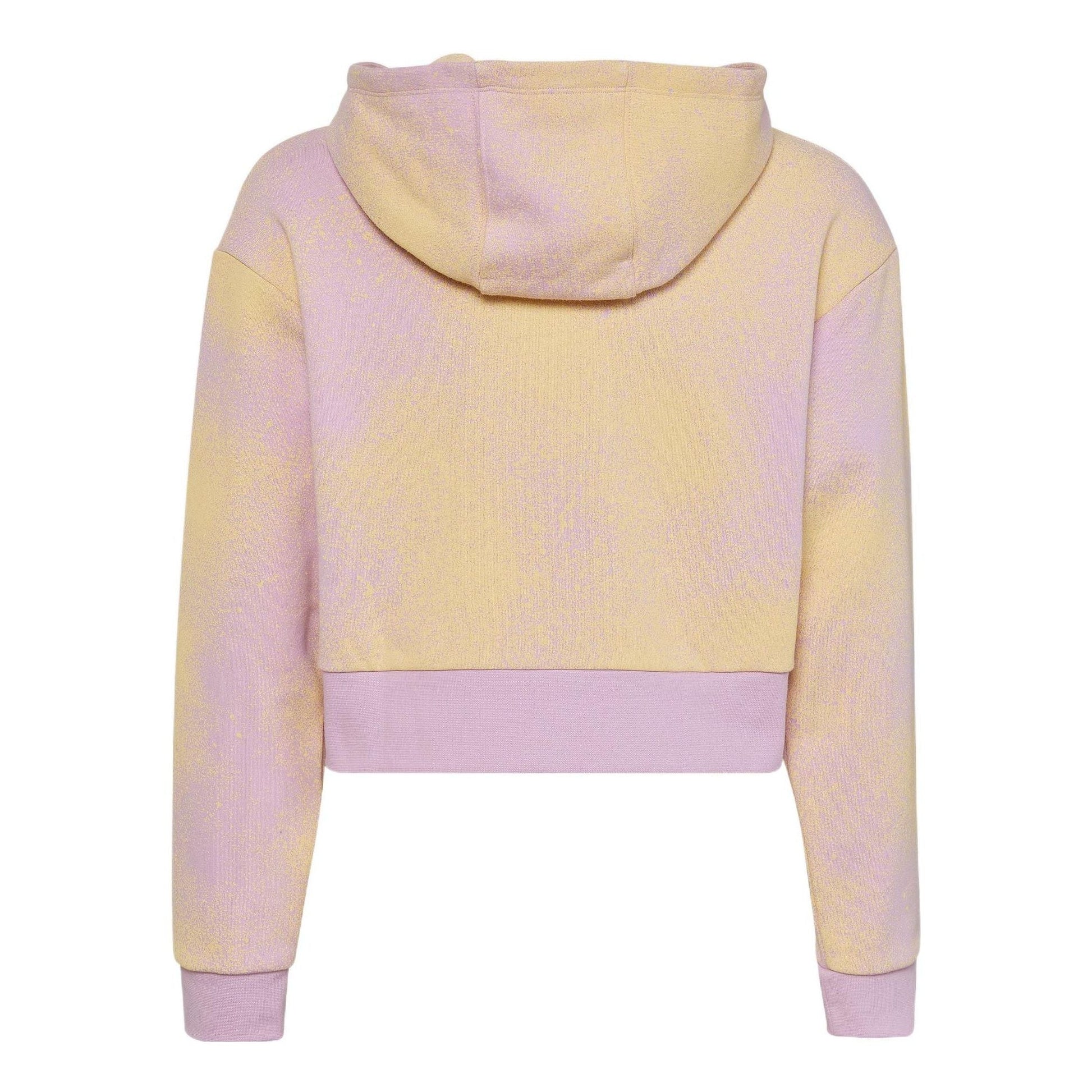 (GS) adidas Graphic Print Crop Hoodie Asia Sizing 'Multi-Color' HK2942