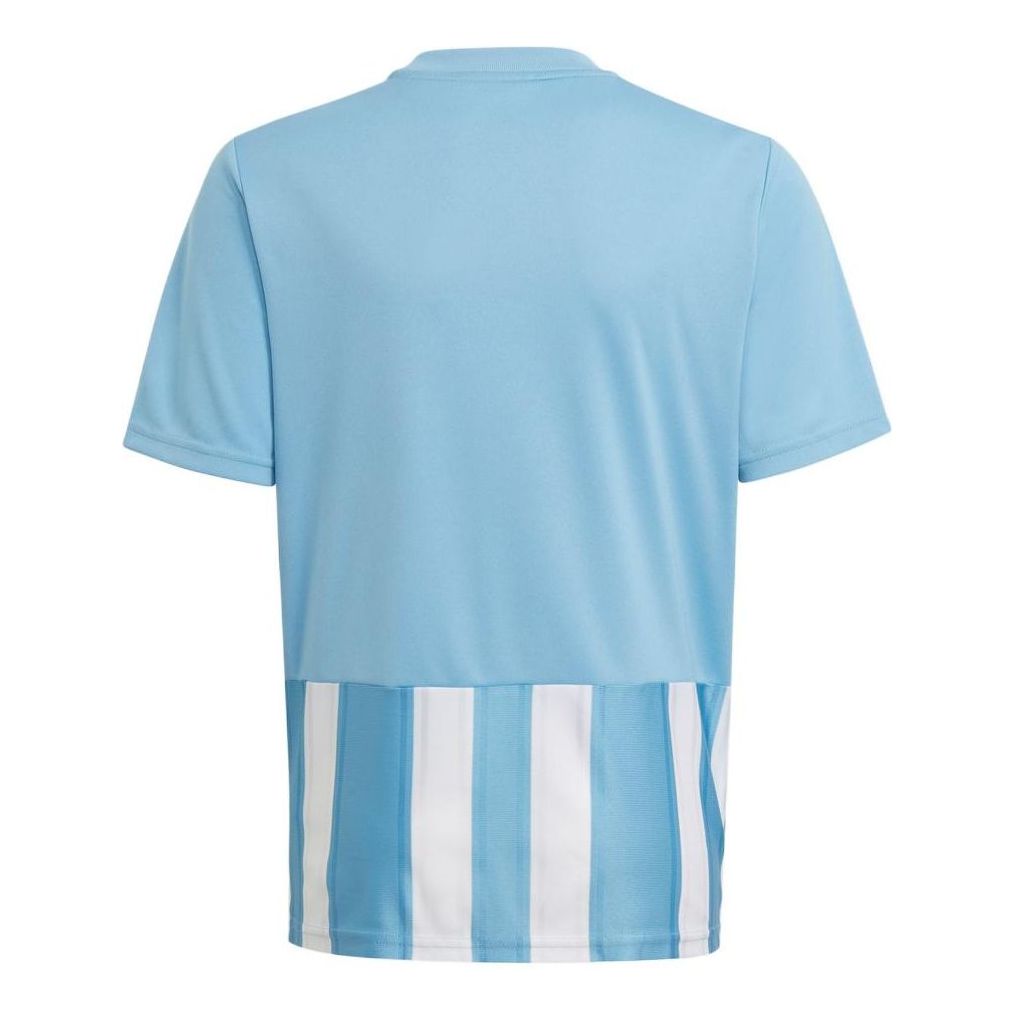 adidas Playershirt Striped 21 Jersey Asia Sizing 'Blue White' GN7633