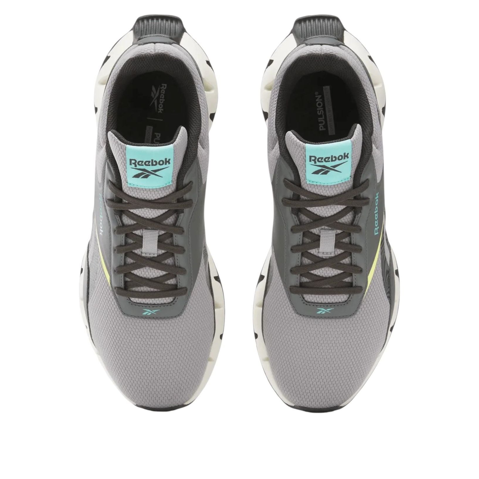 Reebok Zig Dynamica STR 'Grey 3' 100209976