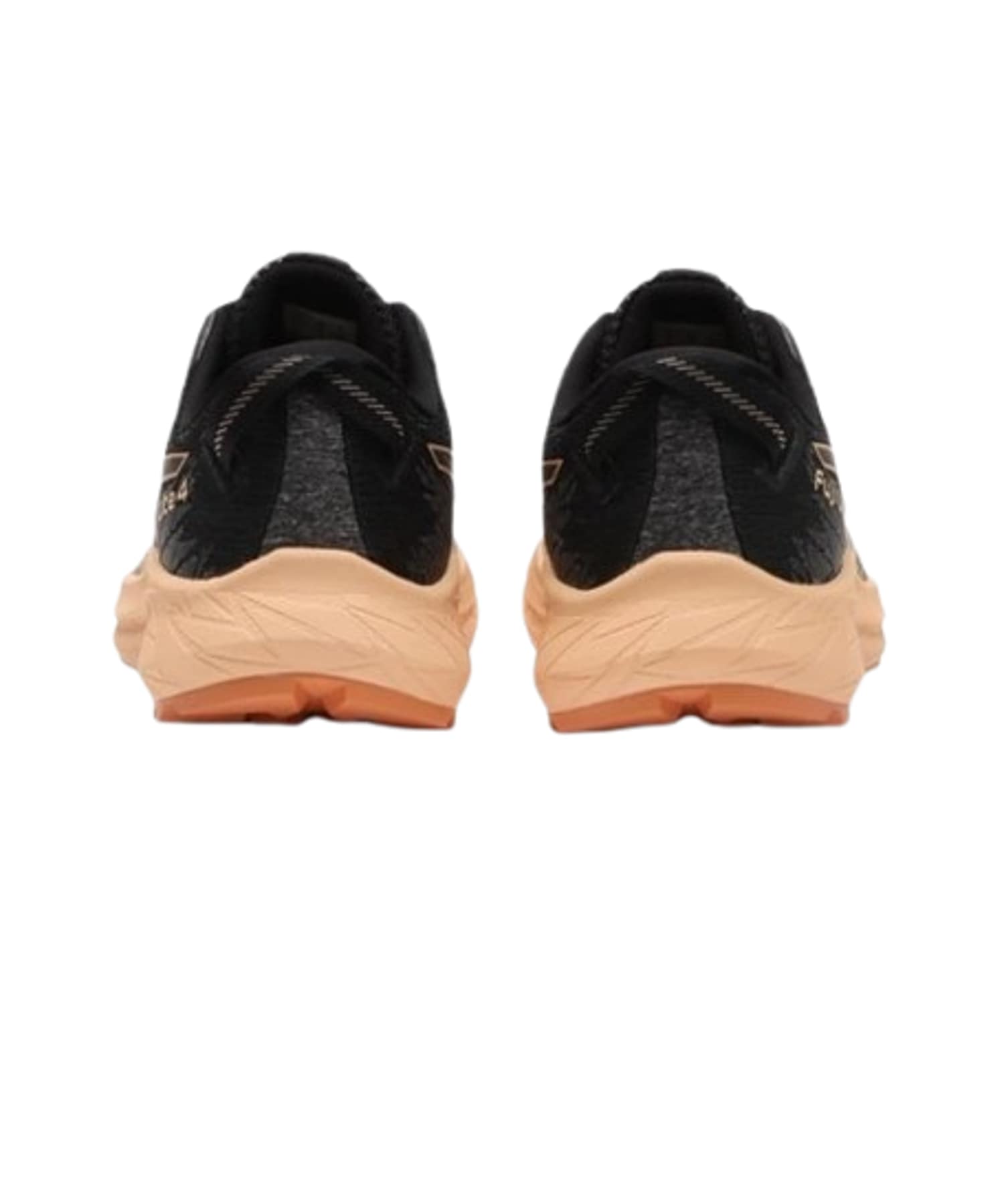 (WMNS) ASICS Fuji Lite 4 'Black Terracotta' 1012B514-001