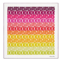 DIOR Silk Silk Scarves Women's Multicolor