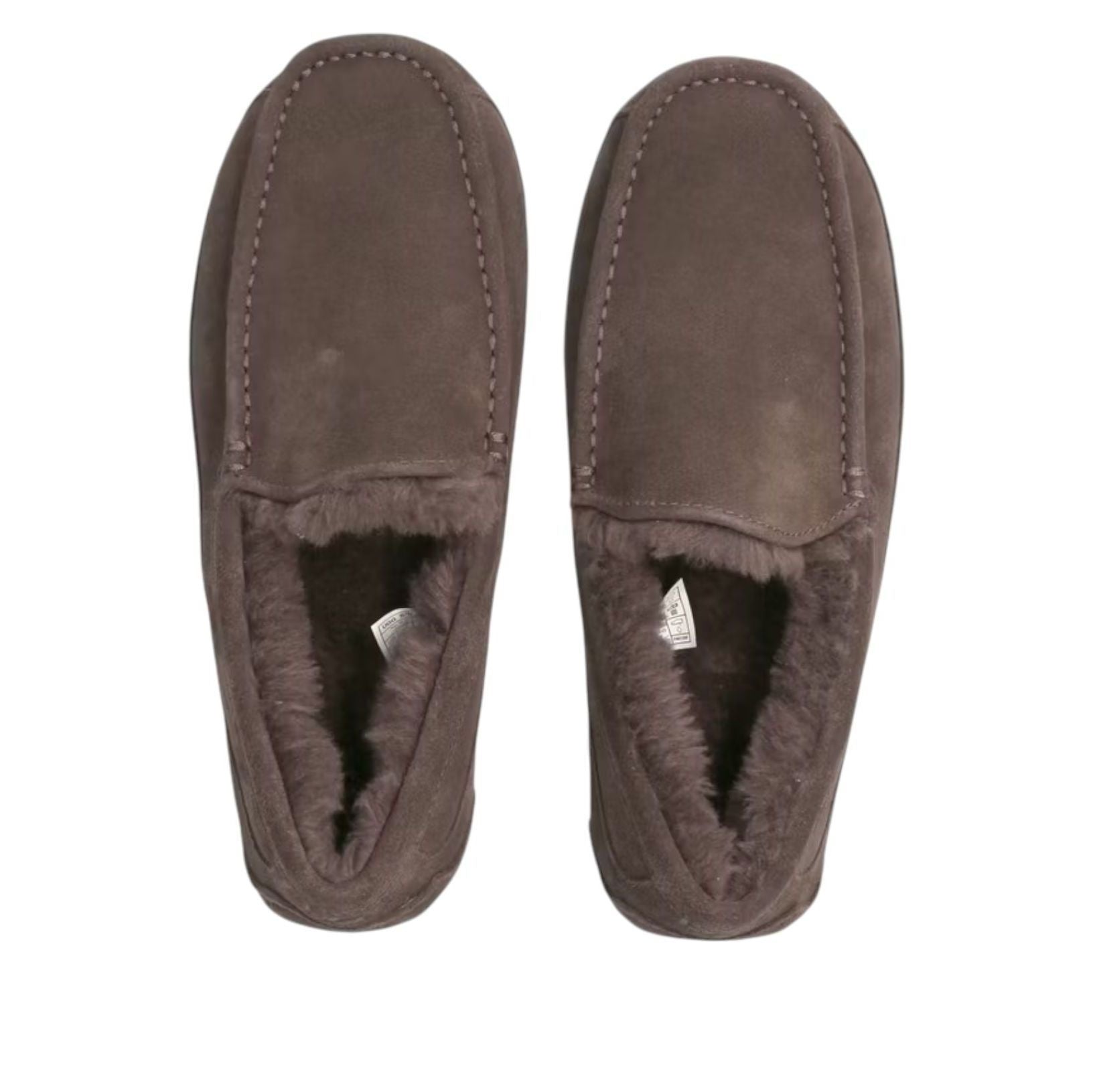 UGG Ascot Slipper 'Dusted Cocoa' 1101110-DDC