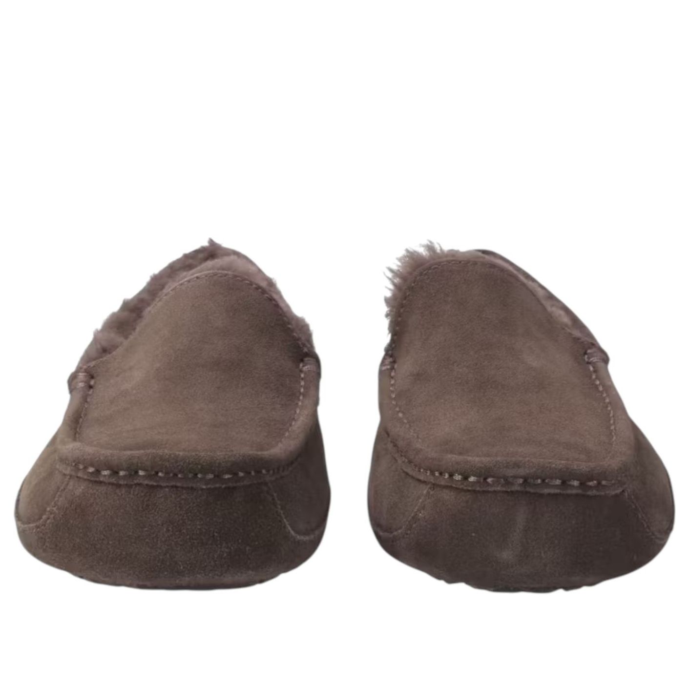 UGG Ascot Slipper 'Dusted Cocoa' 1101110-DDC