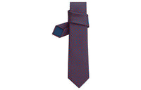 HERMES Ties Men Red/Blue