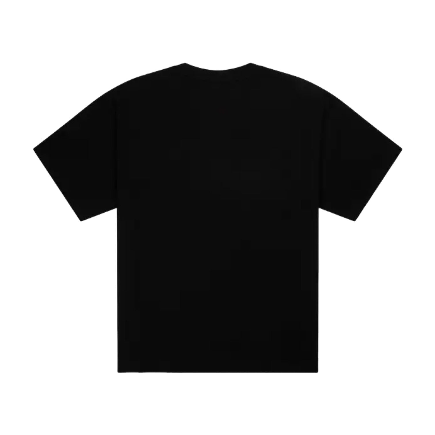 Thug Club Basic T-Shirt 'Black' TC24TS1503