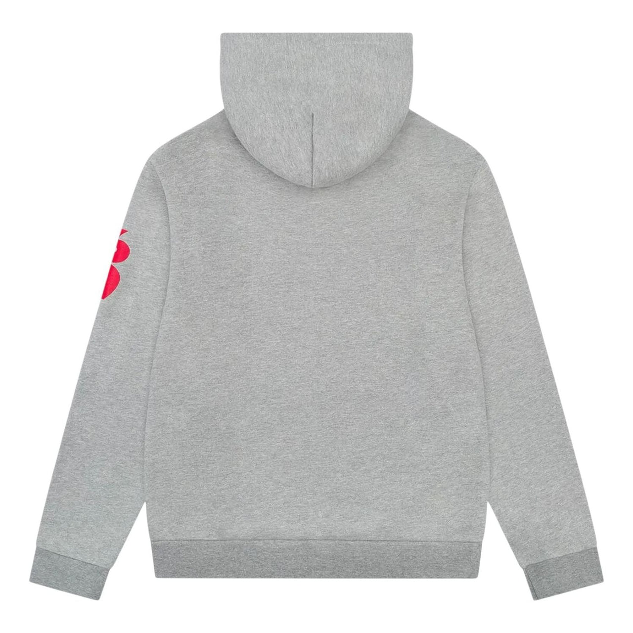 Denim Tears Virginia Hoodie 'Grey' SS25TCN0261788