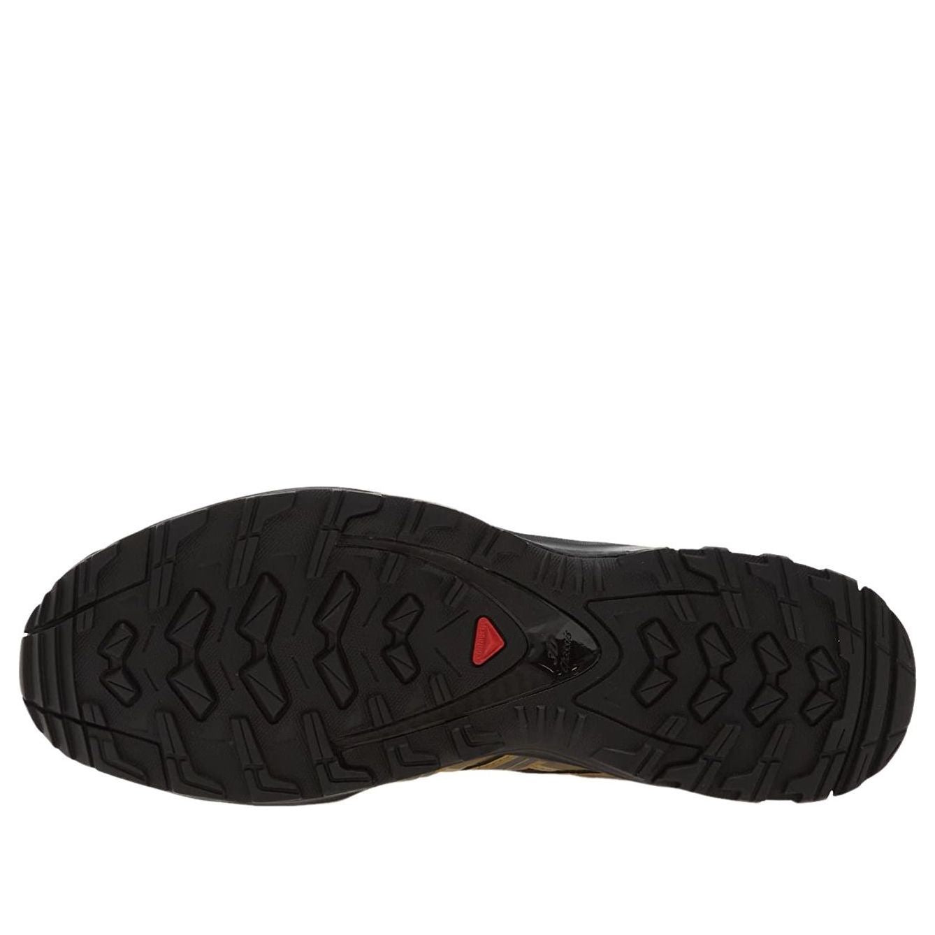 SALOMON XA-Pro 3D 'Black Coffee Kelp' 491719