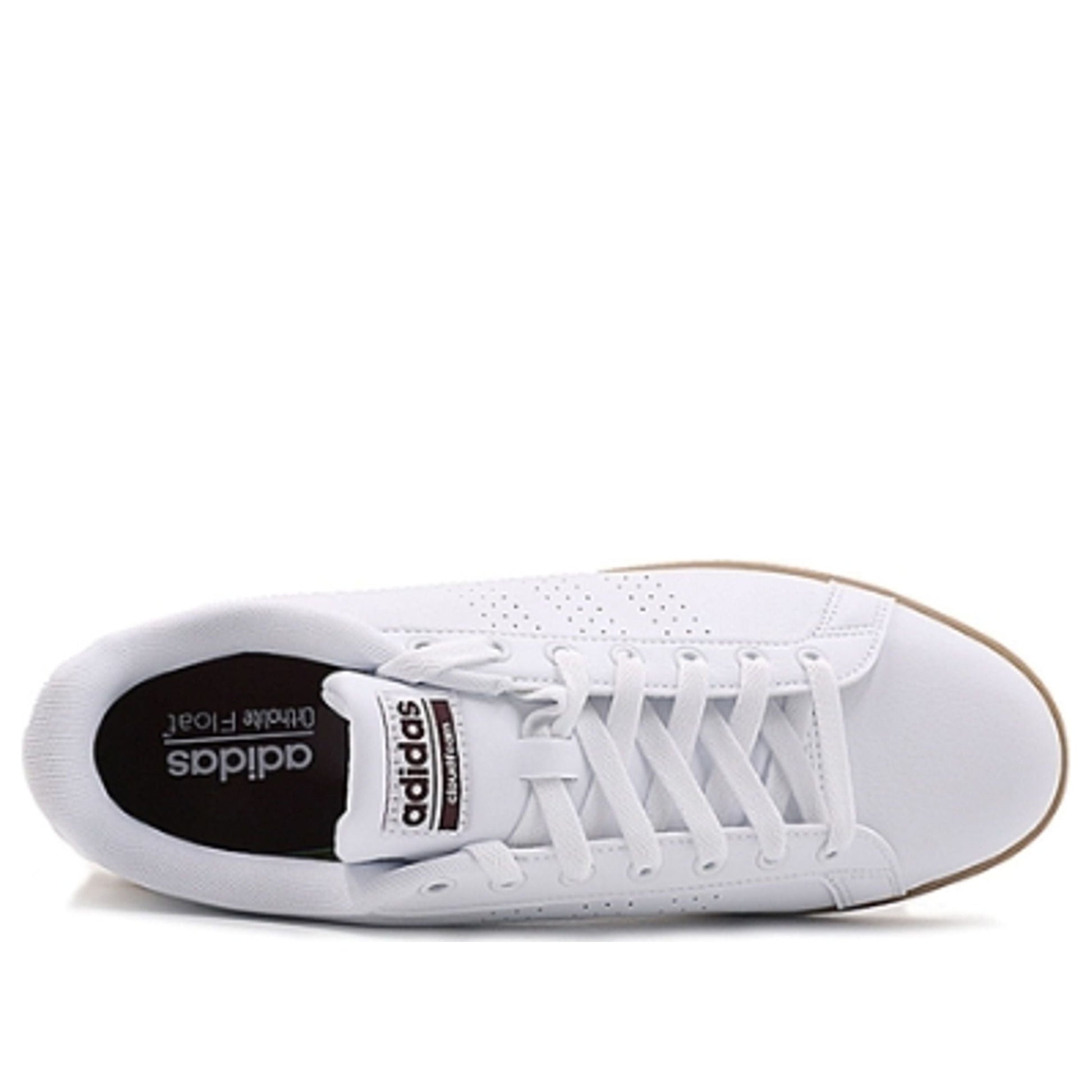 adidas Advantage Clean Court 'White Tan' B43703