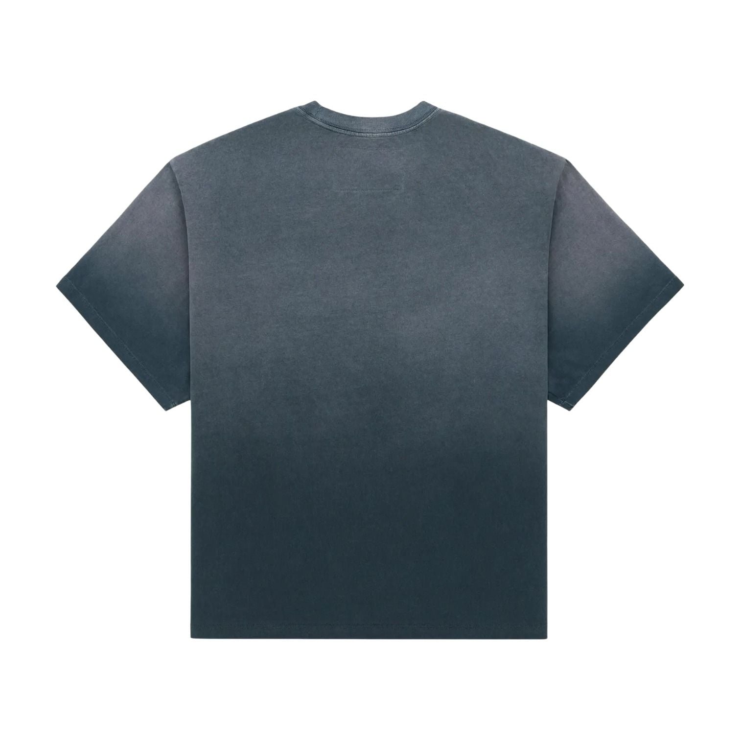 Sp5der Cuntry T-Shirt 'Slate Grey' TE001SS26SLT
