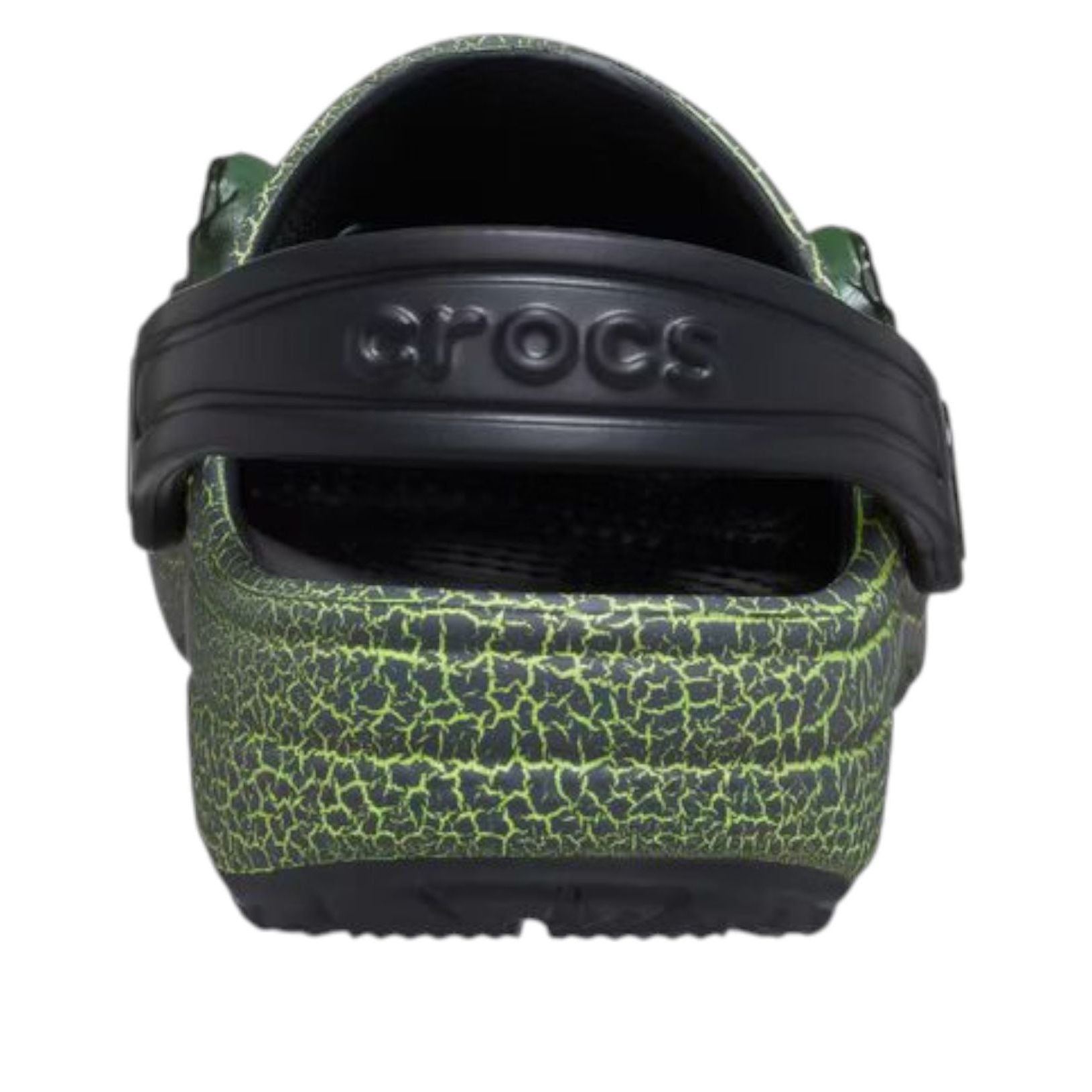 (GS)  Crocs Classic Clog 'IAM Scary Dino' 211372-001