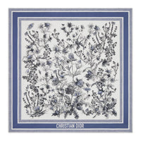 DIOR Silk Silk Scarves Women's Blue