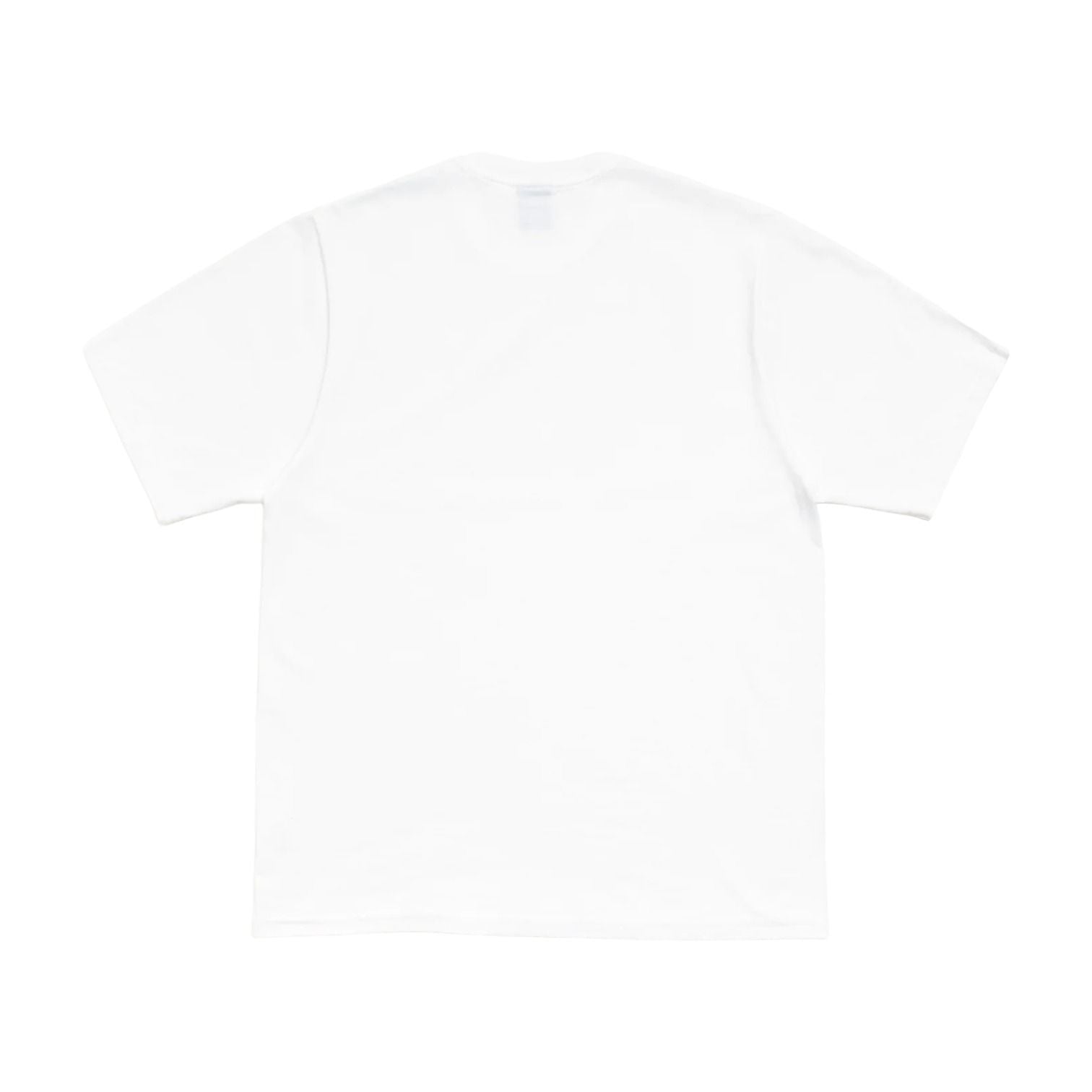 Stussy Citrus T-Shirt 'White' 1905219-WHIT
