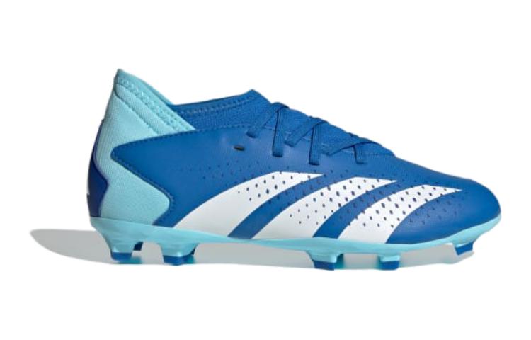 (GS) adidas Predator Accuracy.3 FG 'Marinerush Pack' IE9503