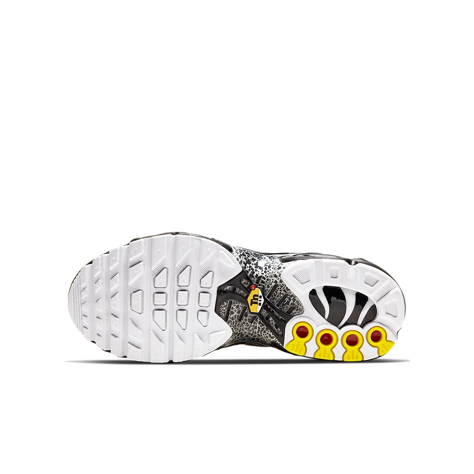 (GS) Nike Air Max Plus QS 'Crocodile' CV2392-001