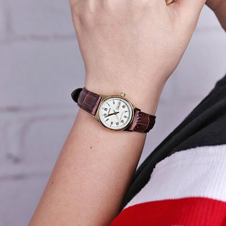 CASIO Waterproof Quartz 25mm /White Brown Analog LTP-V006GL-7BUDF