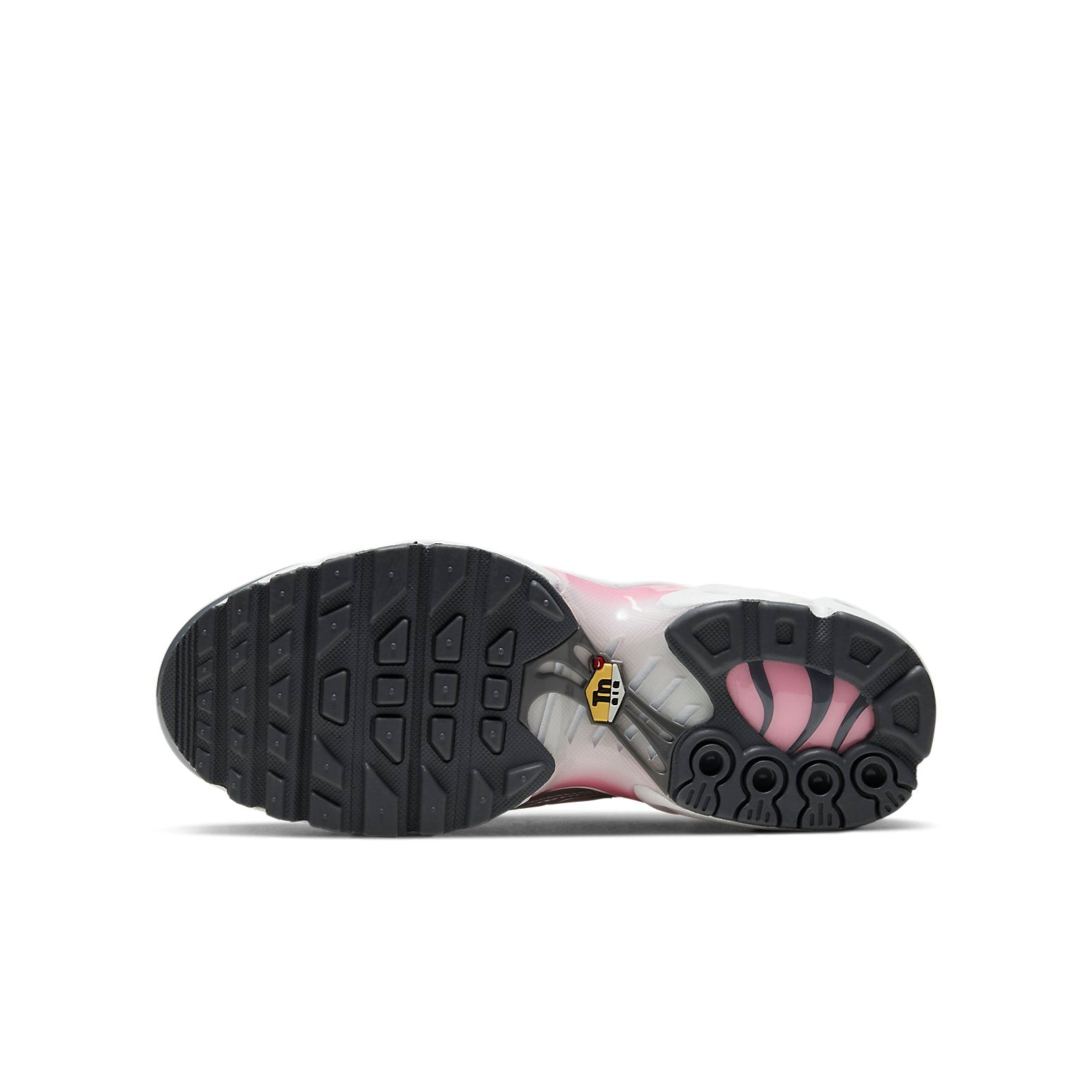 (GS) Nike Air Max Plus 'Metallic Silver Pink' CD0609-008