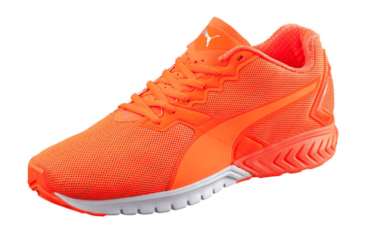 PUMA Ignite Dual Nightcat Low Cut Running Shoes Orange 189354-02