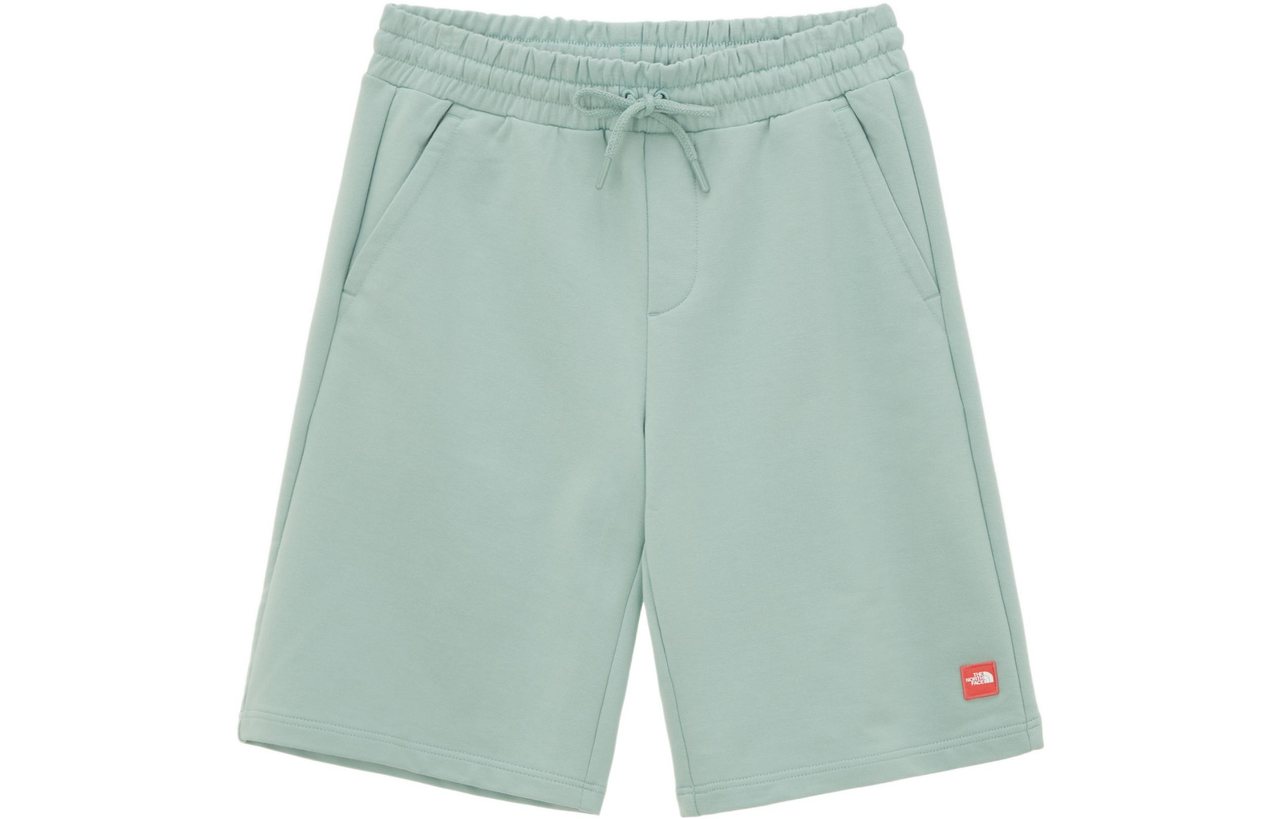 THE NORTH FACE Comfy Shorts 'Teal' NS6KN01N