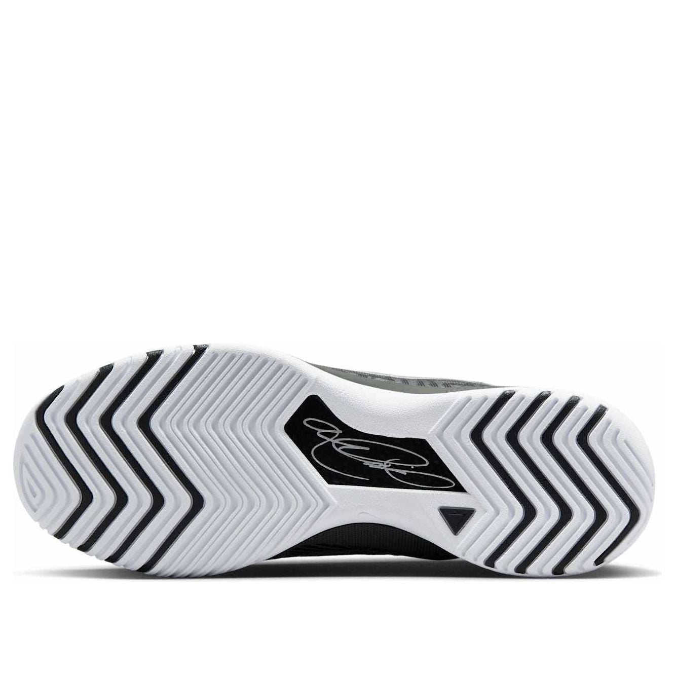 Nike Zoom LeBron NXXT Genisus EP 'Smoke Grey White' HF0711-004