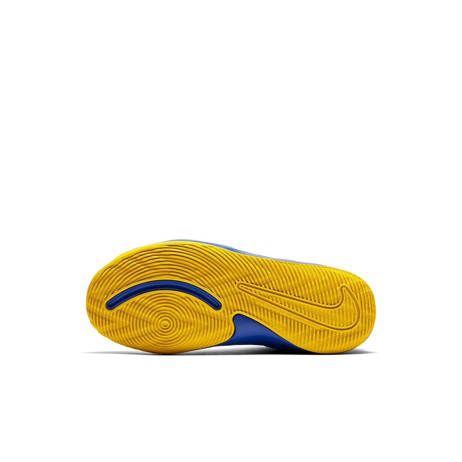 (PS) Nike Team Hustle D9 'Game Royal Silver' AQ4225-404