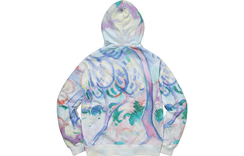Supreme SS18 Landscape Hooded Sweatshirt Multicolor SUP-SS18-559
