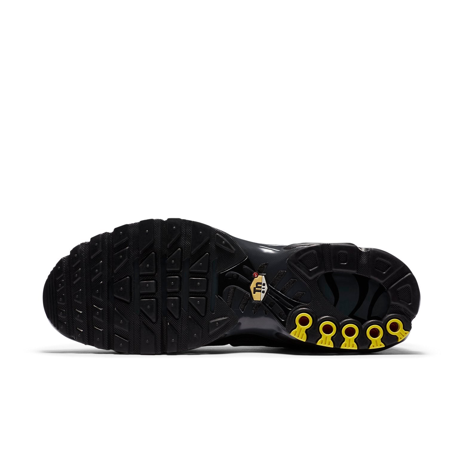 Nike Air Max Plus 'Black Dark Smoke Grey' CT1097-001