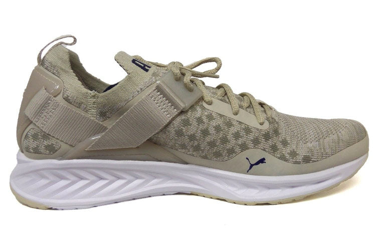 PUMA Ignite EvoKnit Lo Pavement 189926-02