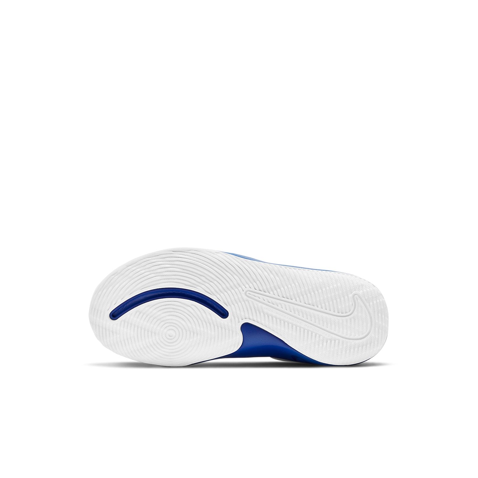 (PS) Nike Team Hustle D9 'White Game Royal' AQ4225-405