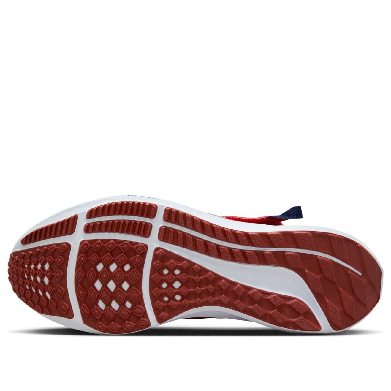 Nike Air Zoom Pegasus 39 FlyEase 'Siren Red' DJ7381-601