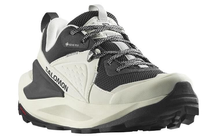 (WMNS) SALOMON ELIXIR GTX 'Vanilla Ice Phantom' 472967