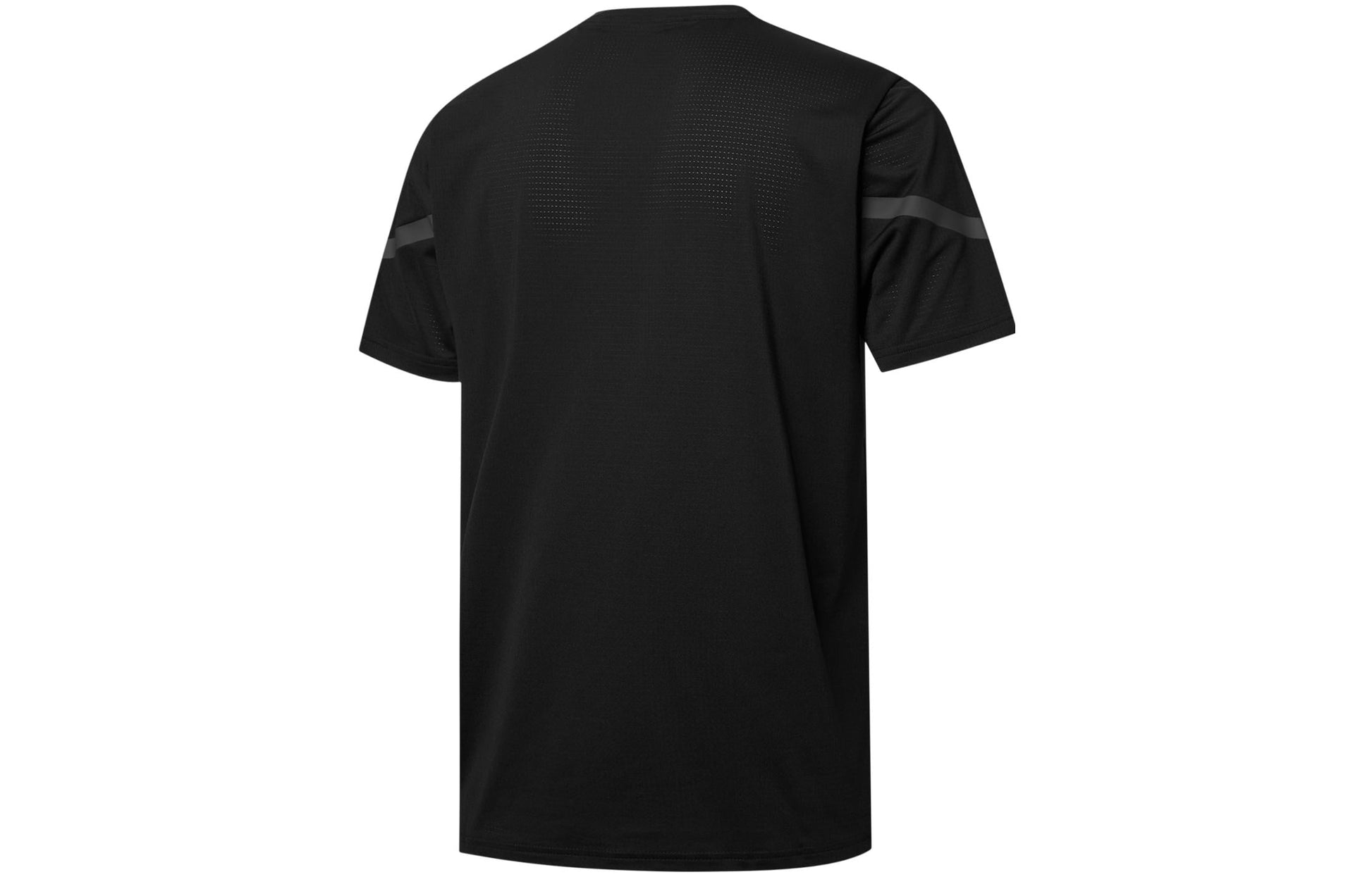 PUMA BVB Pre Match Training T-Shirt 'Black' 764297-02