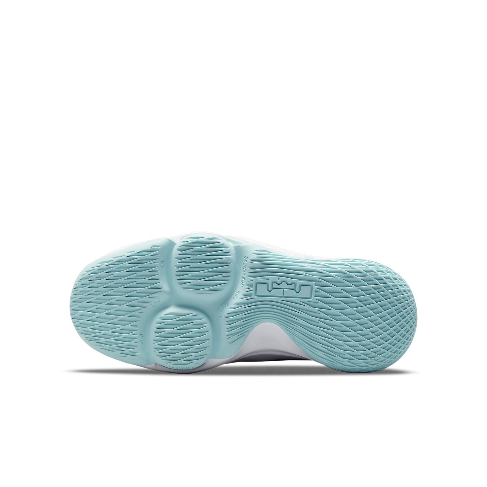 (GS) Nike LeBron Witness 5 'Pure Platinum Light Dew' CT4629-006