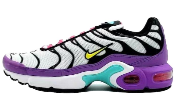 (GS) Nike Air Max Plus 'Bright Violet Multi' CQ9979-100