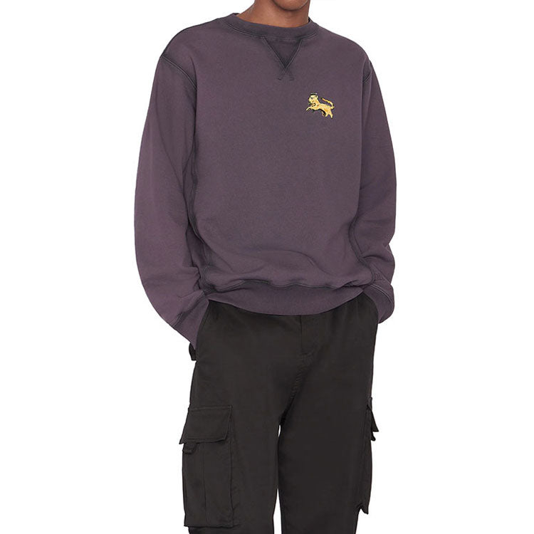 Men's DIOR FW21 Chest Lion Pattern Embroidered Pullover Lavender 143J687B0531-C340
