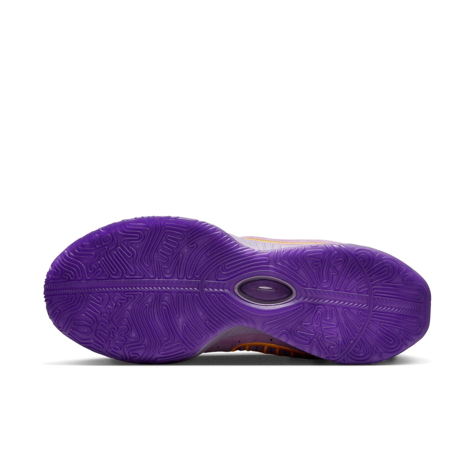 Nike LeBron 21 'Purple Rain' FV2345-500